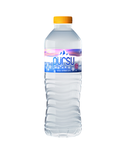 500 ml Pet Şişe