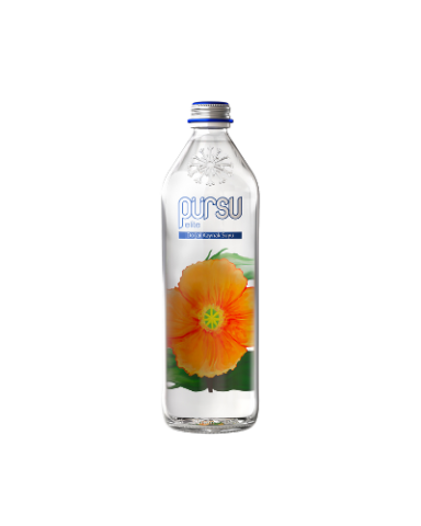 330 ml Cam Şişe
