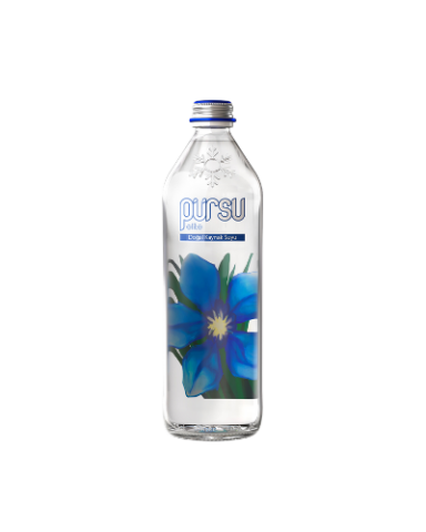 330 ml Cam Şişe