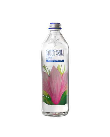 330 ml Cam Şişe