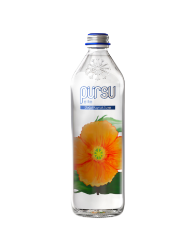 750 ml Cam Şişe