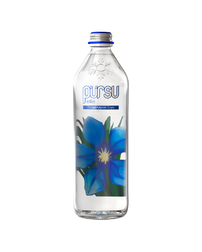 750 ml Cam Şişe