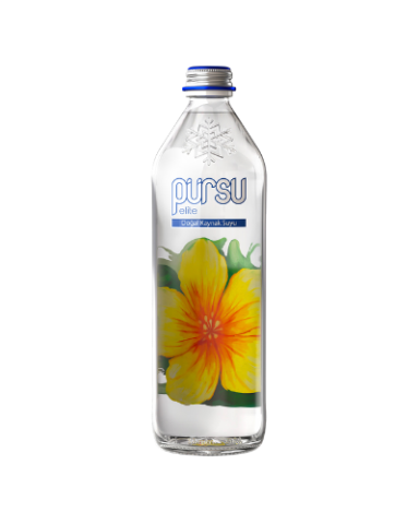 750 ml Cam Şişe
