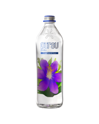 750 ml Cam Şişe