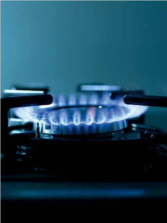 12 Kg. Tombul Ev Tüpü