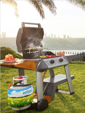 12 Kg. Tombul Ev Tüpü